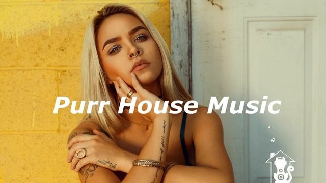 Monkey Safari - Push Me