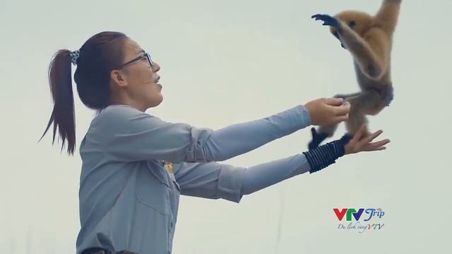 KHÁM PHÁ VINPEARL SAFARI & VINPEARL LAND PHÚ QUỐC смотреть онлайн