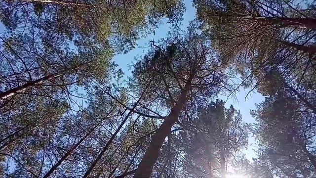 Урал.Пеший поход.