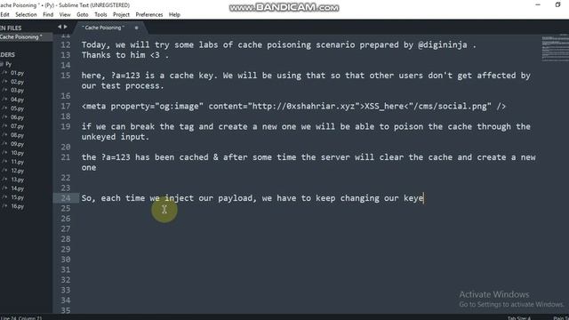 Basic Cache Poisoning Lab ( by digininja ) Solution | 0xshahriar