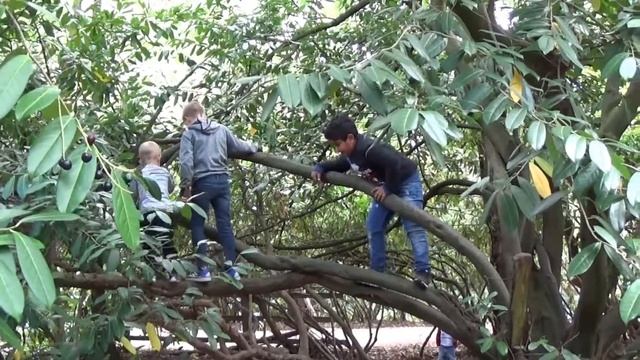 Ехали в лес а приехали на фестиваль. смотреть онлайн