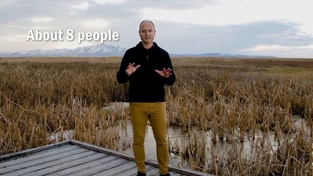 Great Salt Lake Preserve Family Photo Safari - Masterpiece Images смотреть онлайн