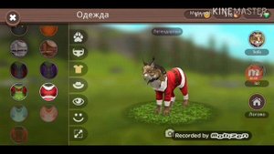 Раздаю аккаунт Wild Craft)