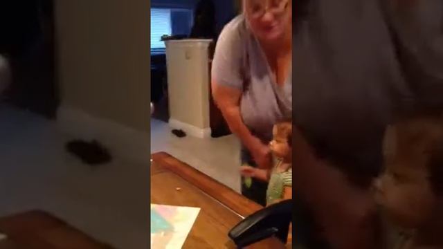 An All American Apple Pie sort of thing смотреть онлайн