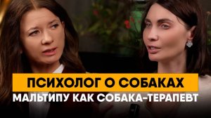 Психолог о собаках. Как пережить смерть питомца. Мальтипу как собака-терапевт.