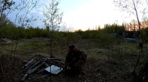 Очередная попытка добыть вальдшнепа - заезд третий