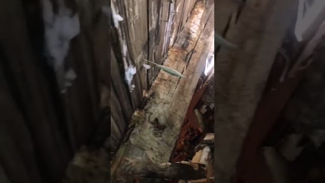 Баня 1ая комната смотреть онлайн