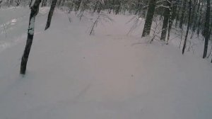 Красная поляна __ Сноуборд __ Фрирайд __ PowderDay's