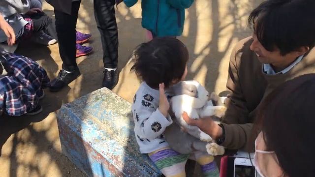 Japan's Safari Park (Gunma Safari Park) | 群馬サファリパーク internationallyME смотреть онлайн