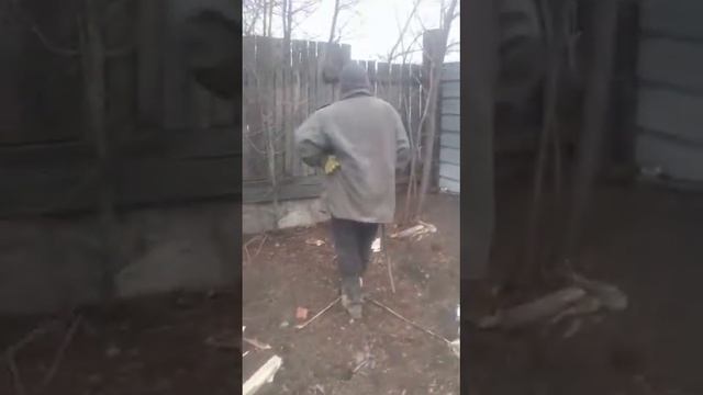 УЖАСЫ НАШЕГО ГОРОДКА Благовещенск