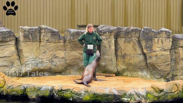 Woburn Safari Park Full Tour | Safari Park in UK | Road Safari | Foot Safari | Best Safari Park смотреть онлайн