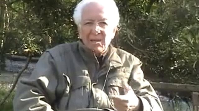 dil hayattır... смотреть онлайн