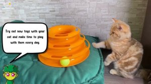 Take Care of Pets