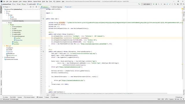 Selenium 4 Support