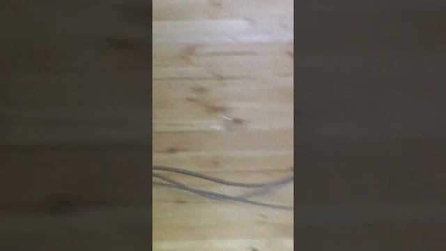 28 августа 2018 г. смотреть онлайн