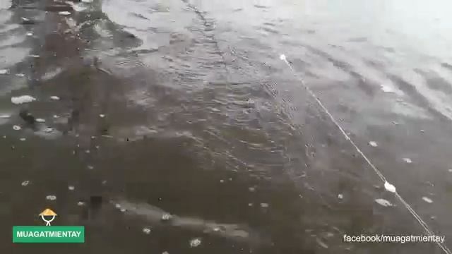 Пищевая искусство пищевые приключения Традиционная пища натуральные пищевые продукты удивительные б смотреть онлайн