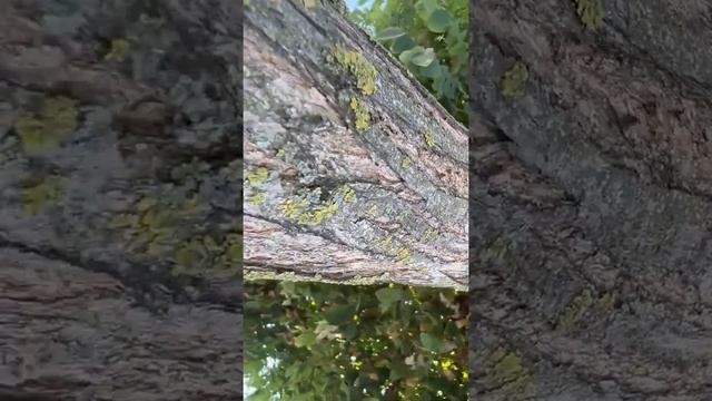 Открой дверь неудобной истине смотреть онлайн