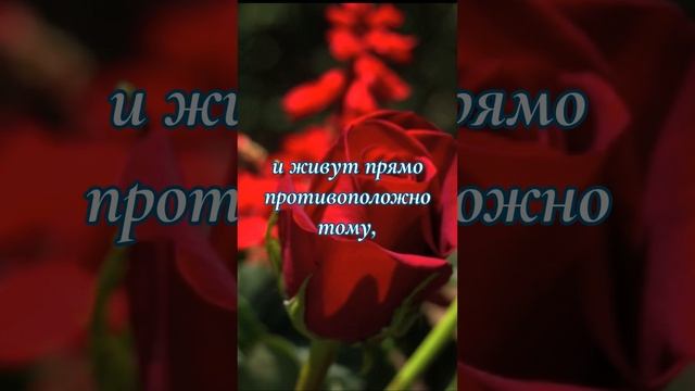 Эллен Уайт о Боге, спасении и вечности: Чтобы устоять в день суда...