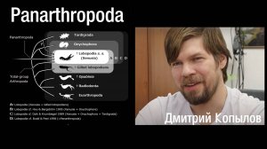 Панартроподы