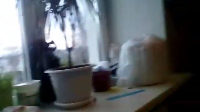 Моя кухня смотреть онлайн