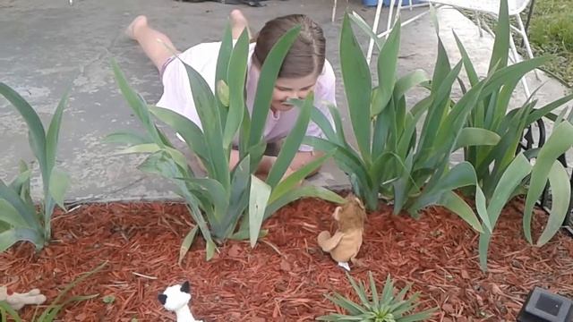 Garden safari смотреть онлайн