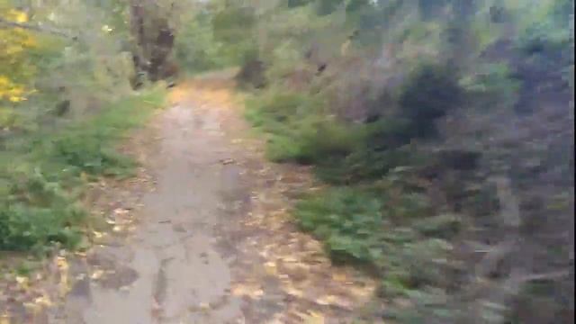 Осень. Майкоп. Байк.
