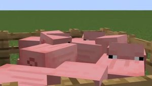 Ой, сало, сало, сало, украинский сало