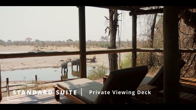 Savute Safari Lodge | Savute Region смотреть онлайн