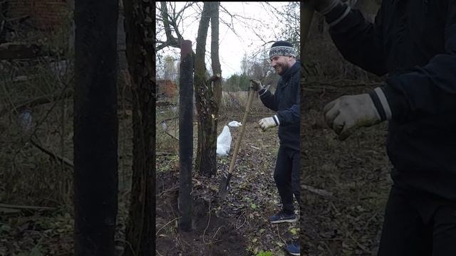 Выравнивание столба