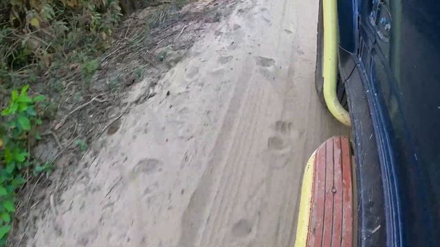 BACK TO JHIRNA ZONE SAFARI 😍 #yuvrajjimcorbett #jhirna #jimcorbett смотреть онлайн