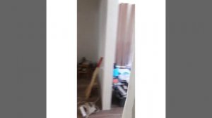 Установка межкомнатных дверей.