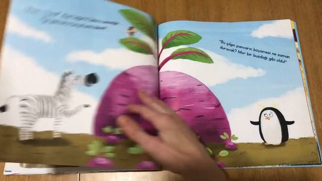 Safari Park’ta Dev Pancar Çılgınlığı смотреть онлайн