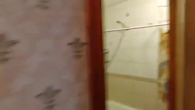 Сдам 1-комн, центр, Французский бульвар / Довженко. 4/5 эт. смотреть онлайн