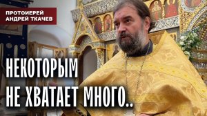 А другим достаточно малого. Отец Андрей Ткачев