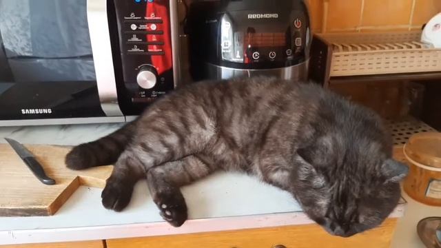 Захожу на кухню, а тут такое! 🙄😂 смотреть онлайн