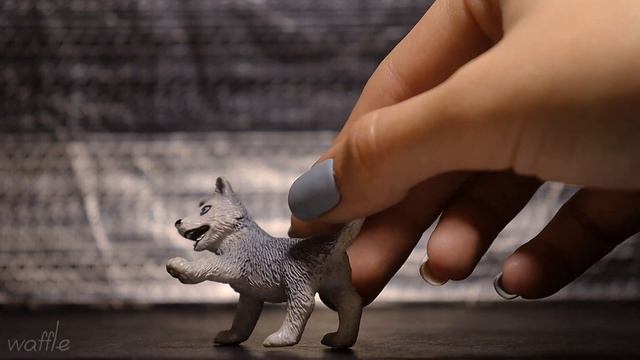 ||Вся моя коллекция собак schleich||Обзор