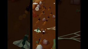 Rodeo Stampede：Sky Zoo Safari - 2021-10-03