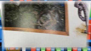 #2024 ТВОЙ ЧИТАЙ-ЛИСТ, или что на новенького #книжныйобзор