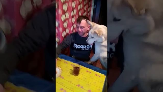 Ешь бутерброд смотреть онлайн