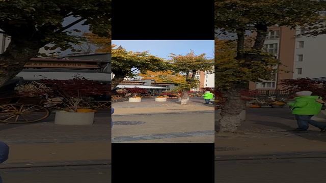 Зеленоградск, конец октября. Прекрасное местечко. смотреть онлайн