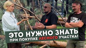 Лесной участок! Как правильно выбрать? И что делать после приобретения?