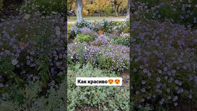 Как красиво😍😍