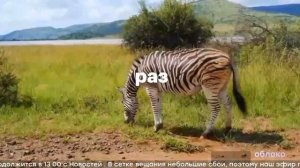 Фрагмент эфира (Облако HD, 26.10.2024)