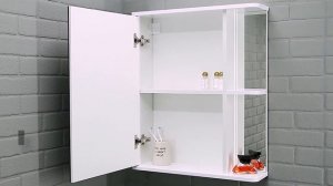 Шкаф-зеркало НОРМА 1-55