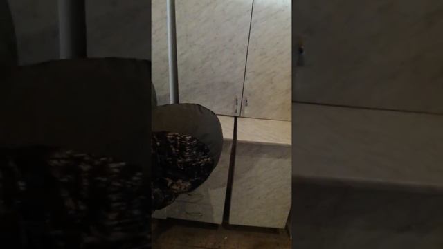 Угловая кухня в магазине Омич Южная, 26 с Кыштовка 89130148520 25 000 р смотреть онлайн