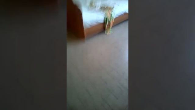 Делаю дверь ч.3 смотреть онлайн