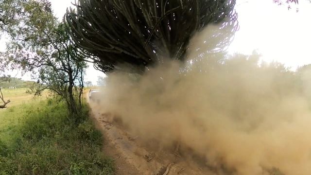 TGR-WRT 2024 Safari Rally Kenya: Day 2 Highlights смотреть онлайн