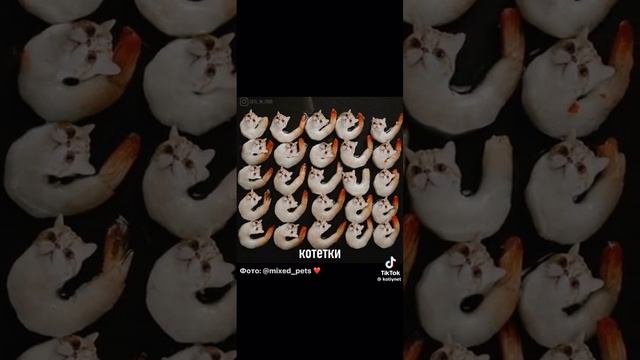 video-5face7bd8e7a692a1c09e0f42bf780b0-V.mp4