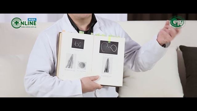 Комахи як носії простих паразитів смотреть онлайн