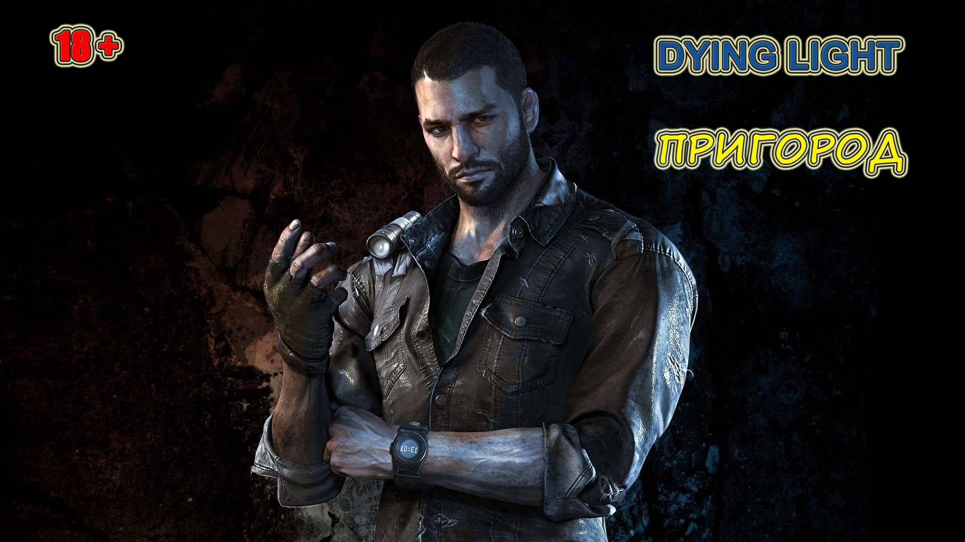 Dying Light #42 (без комментариев)